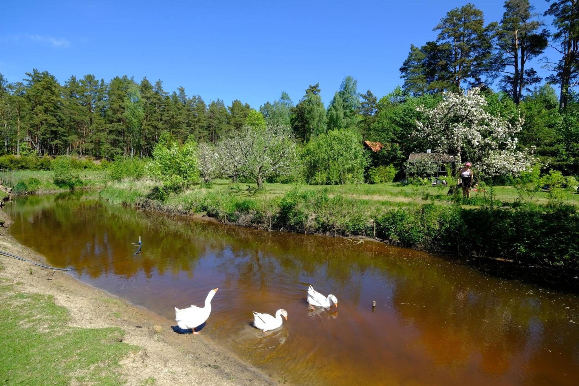 Kallaste Talu- Turismitalu & Holiday Resort Padise Bagian luar foto